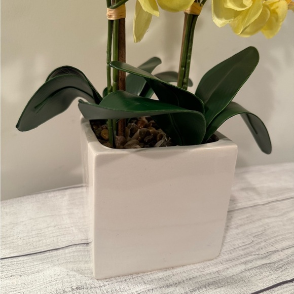 Yellow Orchid Arrangement in White Planter - Picture 3 of 9
